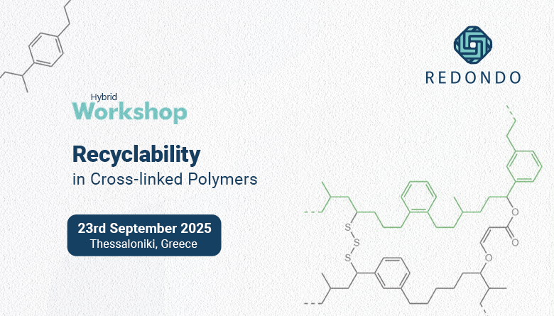 REDONDO Hybrid Workshop on Recyclability in Cross-linked Polymers