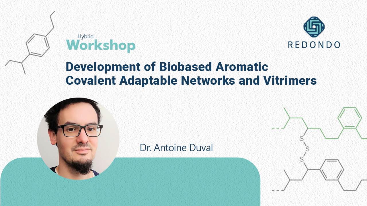 Development of Biobased Aromatic Covalent Adaptable Networks and Vitrimers | Dr. Antoine Duval