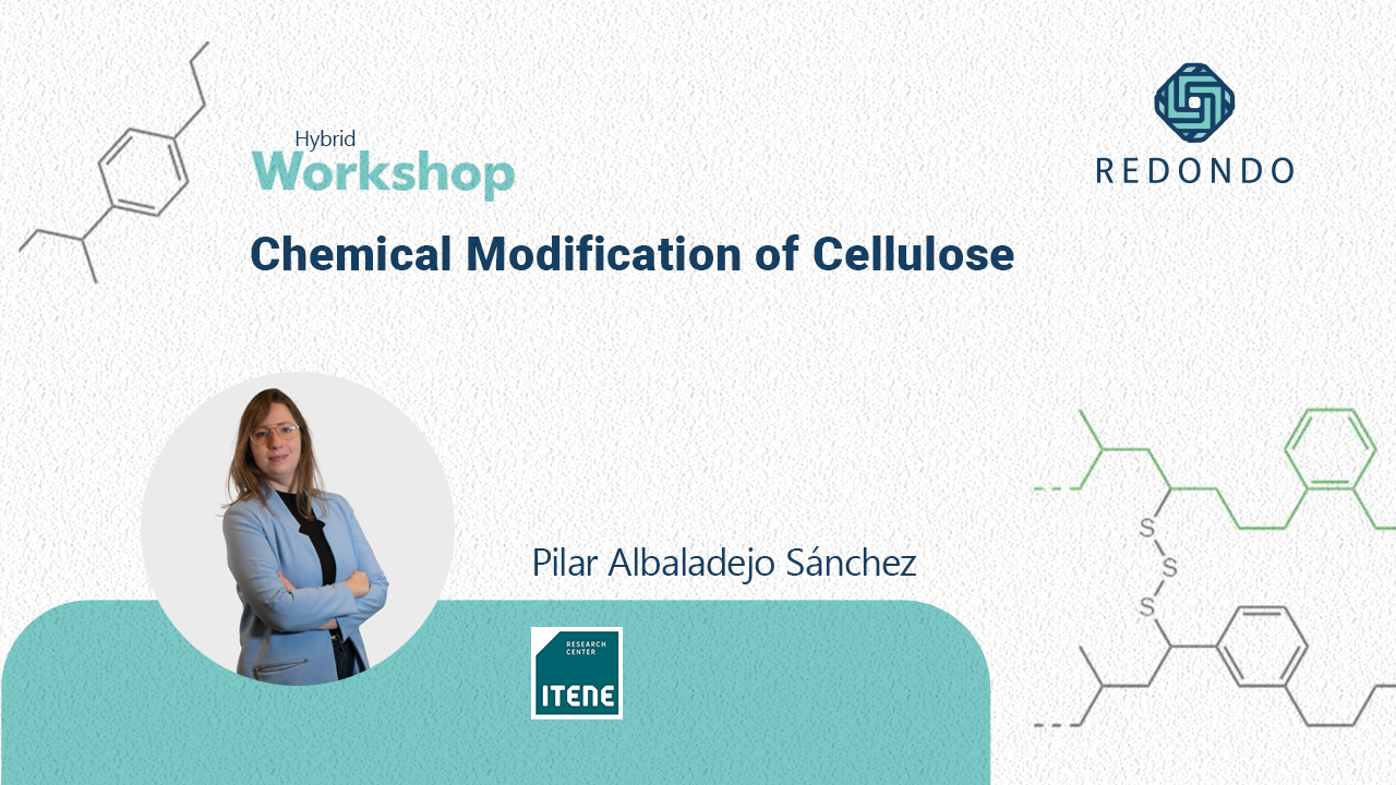 Chemical Modification of Cellulose | Pilar Albaladejo Sánchez