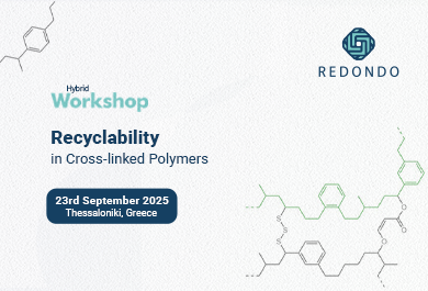 REDONDO Hybrid Workshop on Recyclability in Cross-linked Polymers